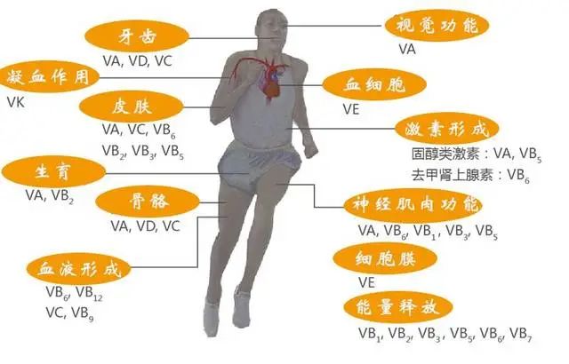 六宝典最新资料大全