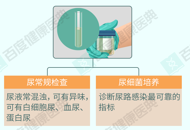 六宝典最新资料大全