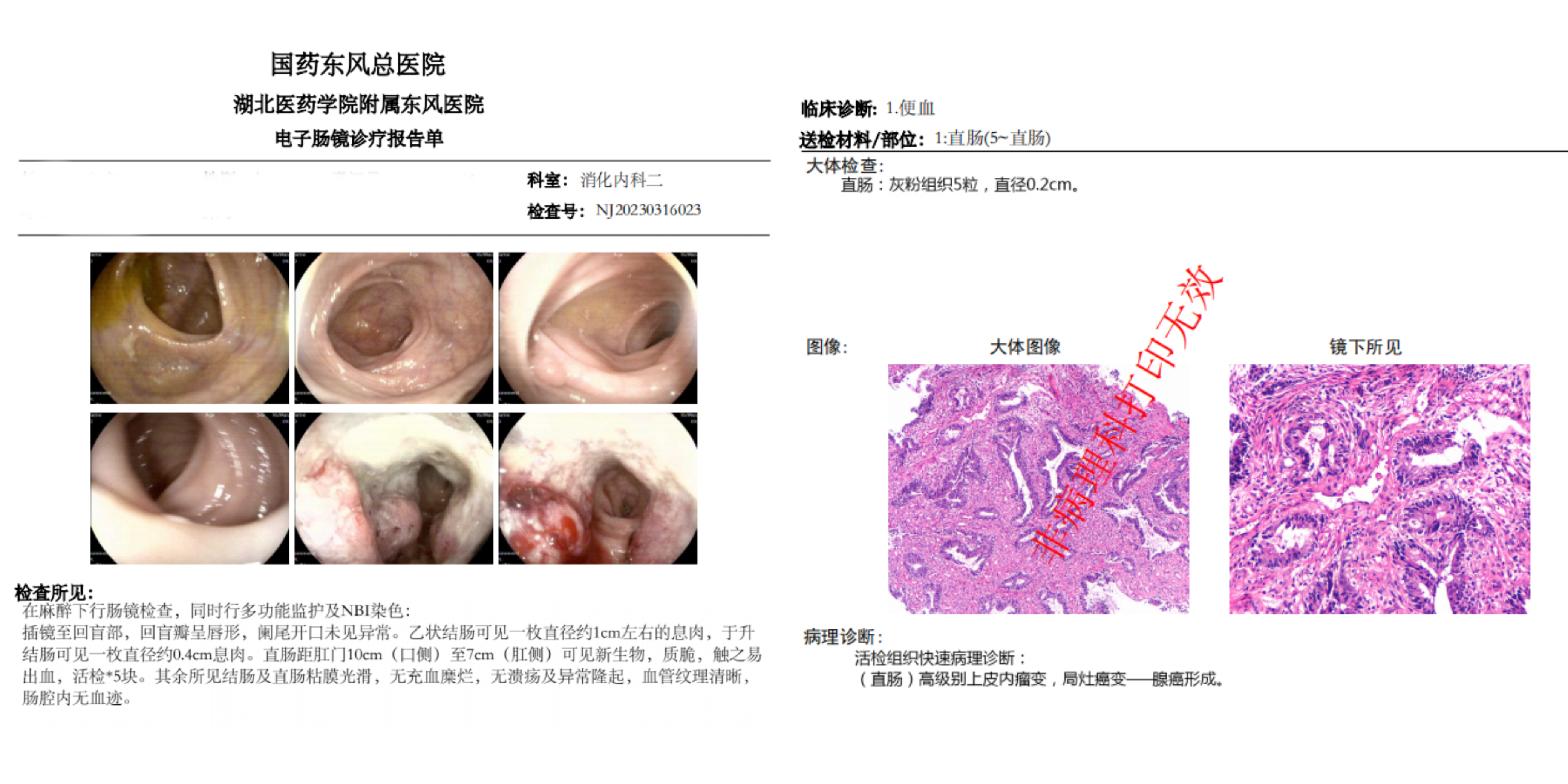 六宝典最新资料大全