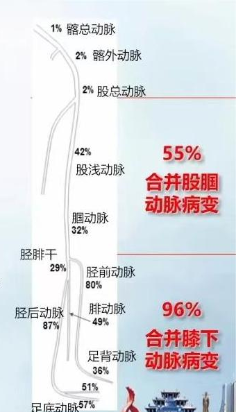 六宝典最新资料大全